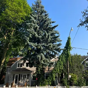 Cabbagetown Retreat Holiday home Toronto